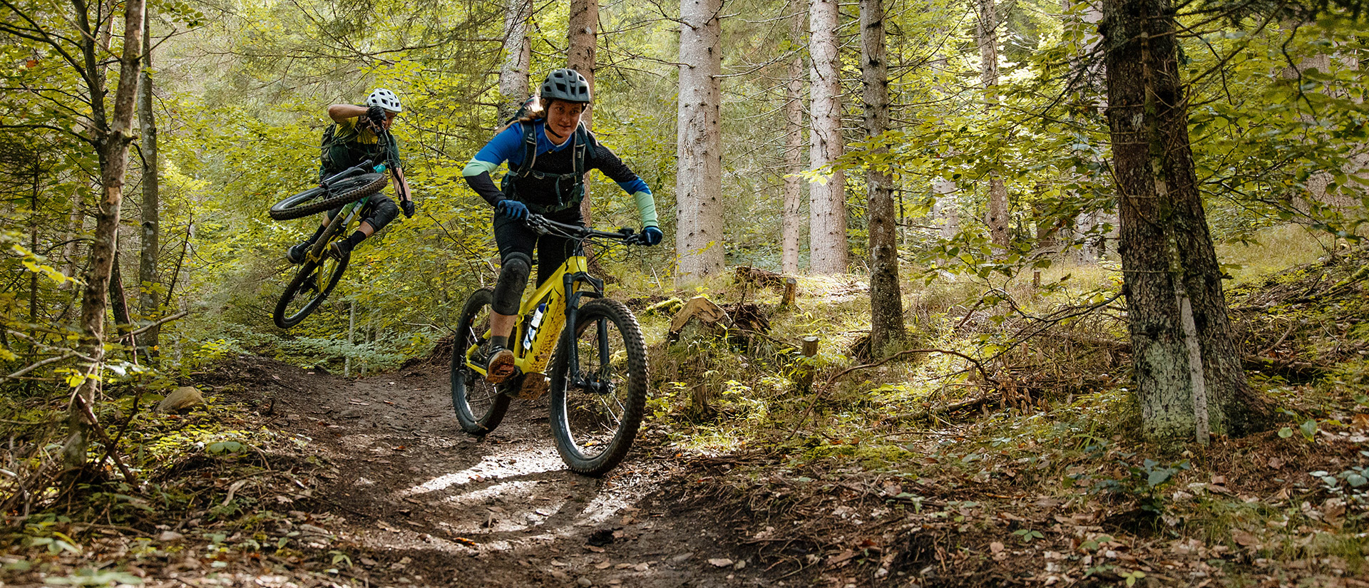 Regitnig Chalets Bikeurlaub Kärnten